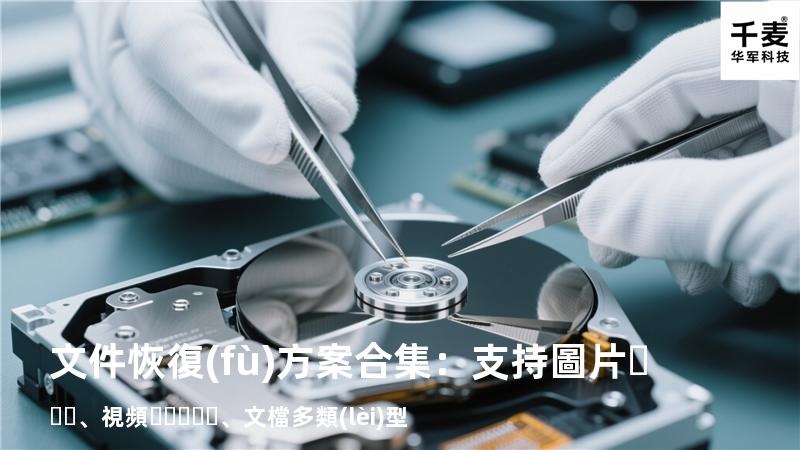 文件恢復(fù)方案合集：支持圖片、視頻、文檔多類(lèi)型 